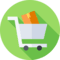 ecommerce website developments and management