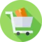 ecommerce website developments and management