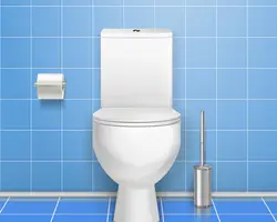 Toilet washroom repair install service in karnal at home book online