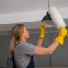Ceiling Dusting & Cobweb Cleaning in karnal