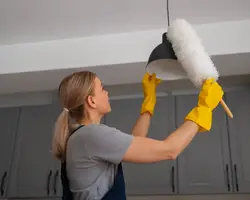 Ceiling Dusting & Cobweb Cleaning in karnal