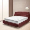 Mattress Cleaning service in Karnal